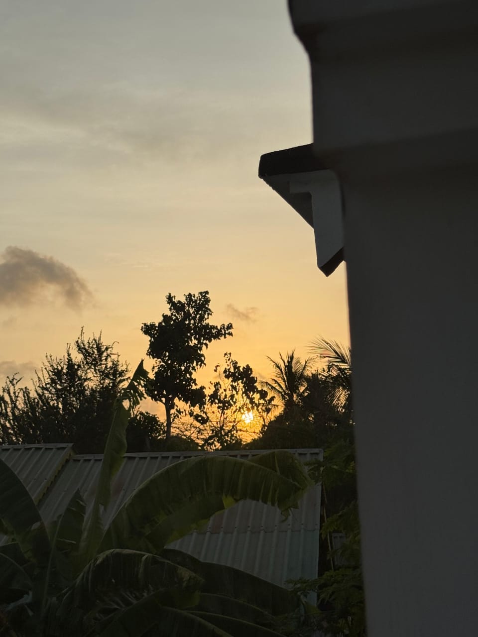 Modern hospital facility